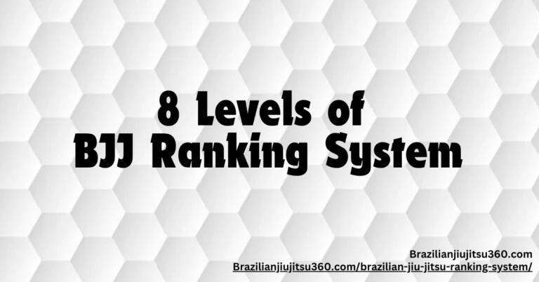 8 Levels of BJJ Ranking System - Brazilianjiujitsu360 feather image