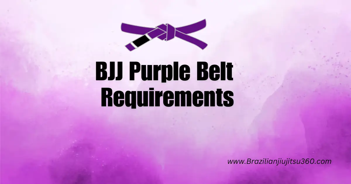 feather image of my article about the BJJ Purple Belt Requirements